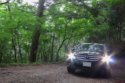 soku_28480.jpg :: 風景 自然 森林 車 愛車 メルセデス R.Class 