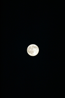 soku_28482.jpg :: 風景 自然 天体 月 