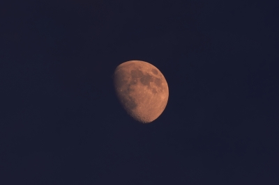 soku_28512.jpg :: 風景 自然 天体 月 中秋の名月 