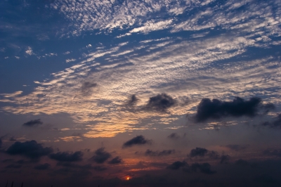soku_28619.jpg :: 風景 自然 空 雲 イワシ雲 