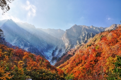 soku_29134.jpg :: 風景 自然 紅葉 山の紅葉 