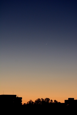 soku_29289.jpg :: 風景 自然 空 朝焼け アイソン彗星 