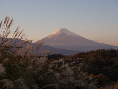 soku_29407.jpg :: 風景 自然 山 富士山 