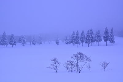 soku_29590.jpg :: 風景 自然 雪景色 雪山 吹雪 