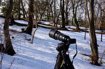soku_29844.jpg :: 風景 自然 雪 カメラ機材 