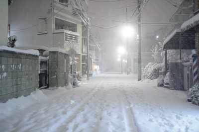 soku_29882.jpg :: 雪 吹雪 