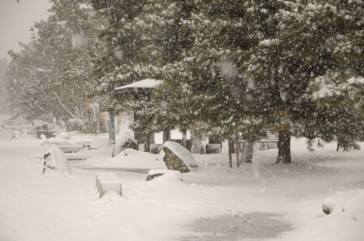 soku_29901.jpg :: 風景 自然 雪 大雪 