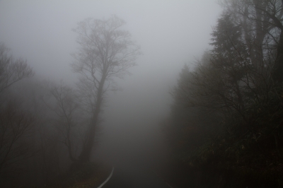 soku_30415.jpg :: 風景 自然 道路 山道 霧 