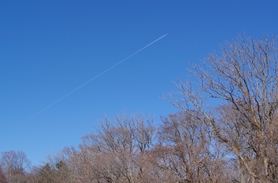 soku_30464.jpg :: 風景 自然 空 飛行機雲 