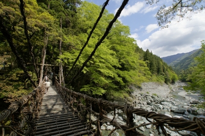 soku_30633.jpg :: 橋 吊り橋 