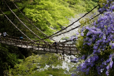 soku_30635.jpg :: 風景 橋 吊り橋 