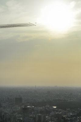 soku_30821.jpg ::  飛行機 ブルーインパルス T.4 東京上空 