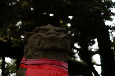 soku_31307.jpg :: 建築 建造物 神社 狛犬 