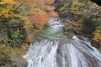 soku_32360.jpg :: 風景 自然 滝 