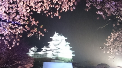 soku_32548.jpg :: 植物 花 桜 サクラ 夜桜 建築 建造物 城 