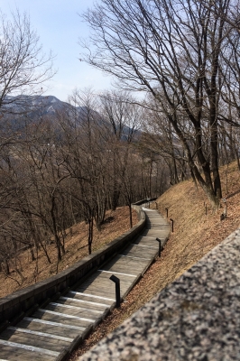 soku_32664.jpg :: 風景 自然 道路 山道 遊歩道 群馬天文台 