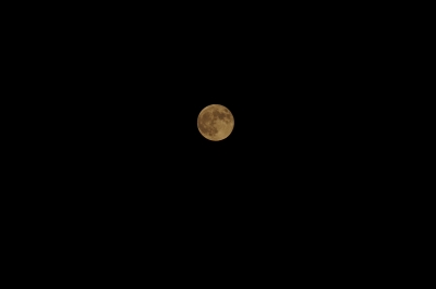 soku_33041.jpg :: 風景 自然 天体 月 満月 スーパームーン 