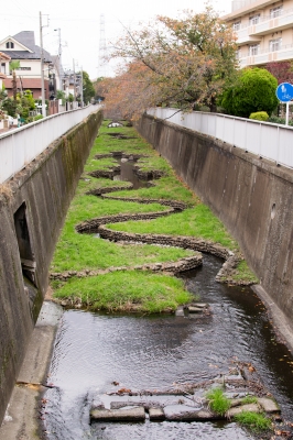 soku_33185.jpg :: 神田川 杉並区 風景 自然 川 河川 都市の河川 