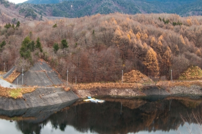 soku_33369.jpg :: 風景 自然 紅葉 黄色い紅葉 ダム湖 水面 水鏡 