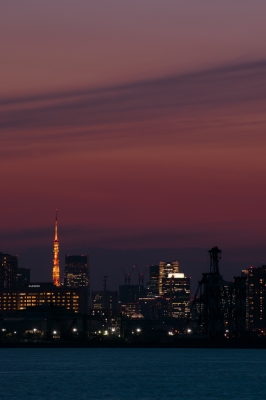 soku_33424.jpg :: Nikon D3300 Part.6 [無断転載禁止]©2ch.net 風景 街並み 都市の風景 夜景 東京タワー 