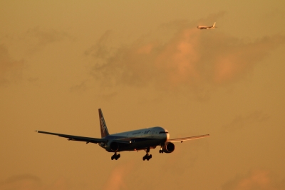 soku_33581.jpg :: 羽田 ANA/B777 B787 乗り物 交通 航空機 飛行機 旅客機 