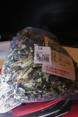 soku_33899.jpg :: 植物 草葉 雑草 薬草 どくだみ 乾燥どくだみ どくだみ茶 